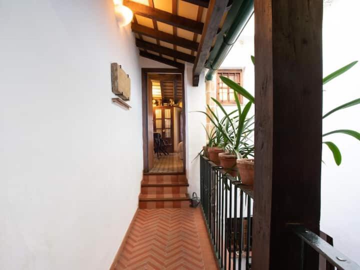 Historic House In The City Center Sevilla Bagian luar foto